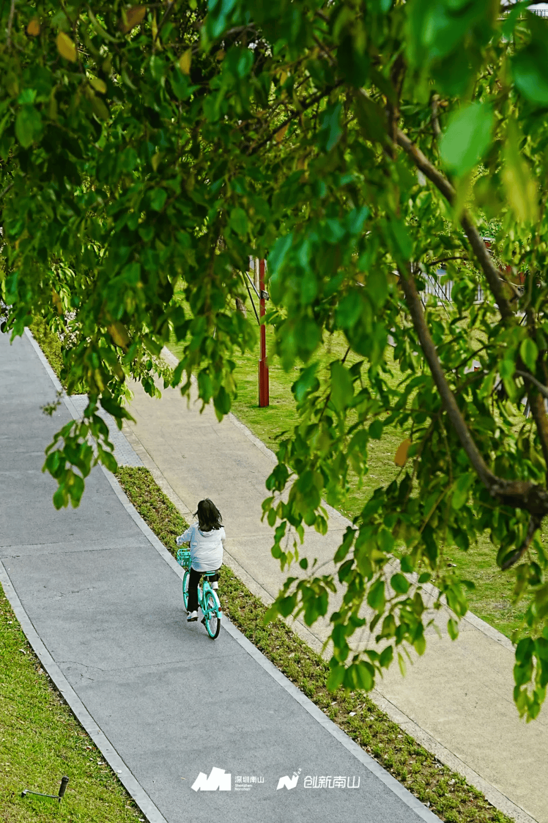 全球总决赛,就在南山!